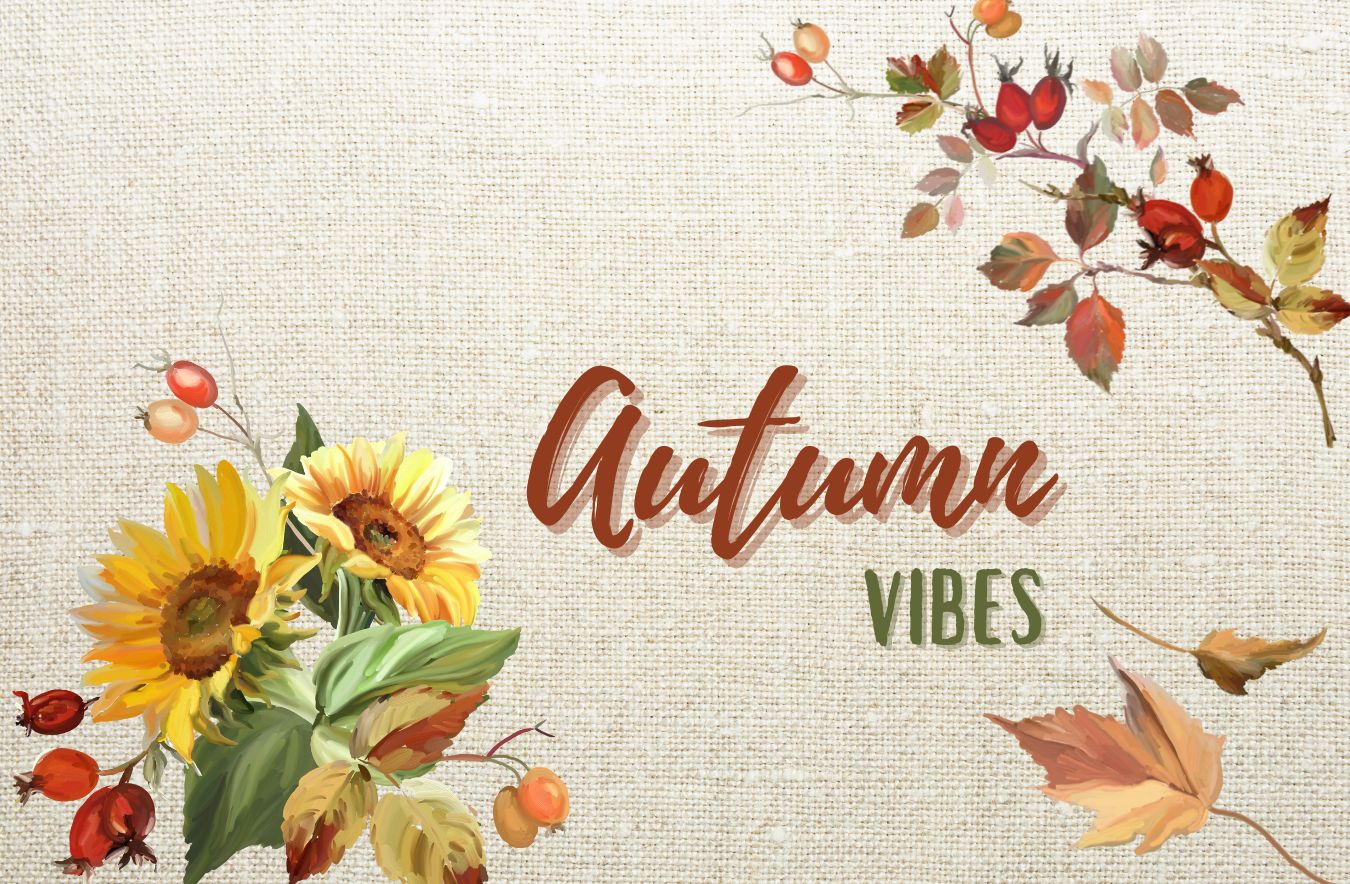 The Collection Of Delight